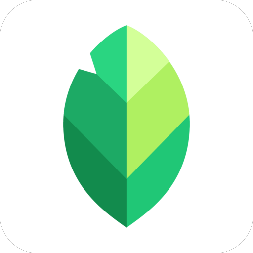 Snapseed Icon